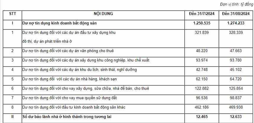 Tiền của các ngân hàng chi cho kinh doanh bất động sản tiếp tục tăng mạnh - ảnh 2