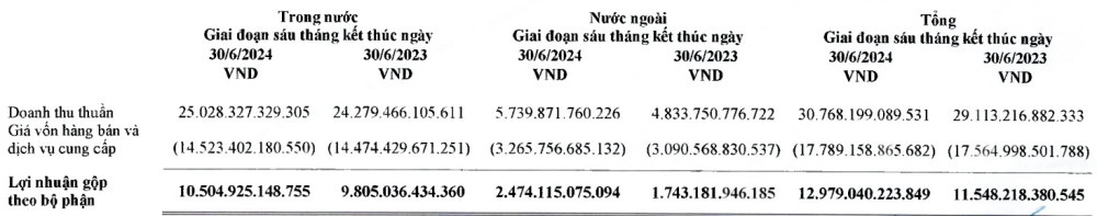 Doanh thu phân theo bộ phận của Vinamilk - Nguồn: BCTC hợp nhất quý II/2024.