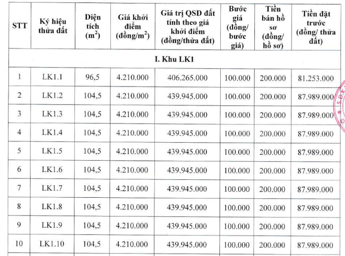 Danh sách một số lô đất sẽ được đem ra đấu giá.