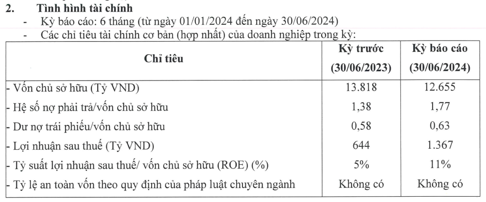 Một số chỉ tiêu về tình hình kinh doanh của Phú Mỹ Hưng. (Nguồn: HNX)