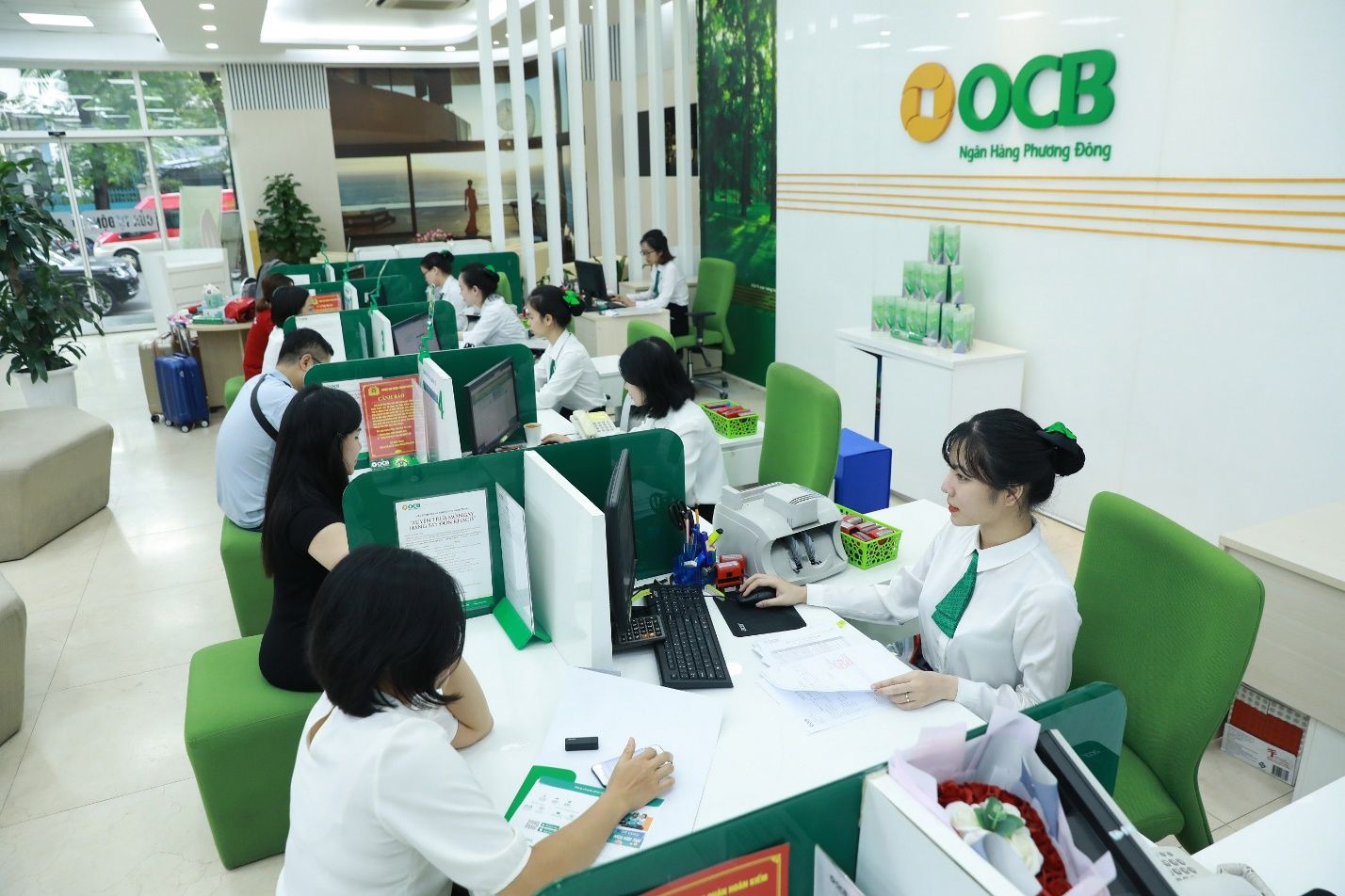Lộ chuyện OCB bơm vốn cho công ty bất động sản sân sau và người quen của Chủ tịch Trịnh Văn Tuấn                                    