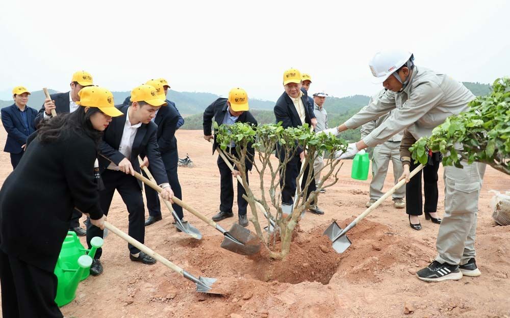 Trồng 25.000 cây phủ xanh 16 ha dự án sân golf tại tỉnh Phú Thọ                                    